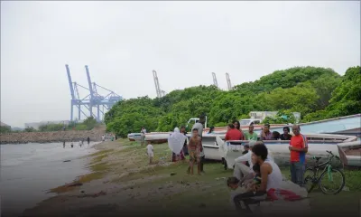 [Vidéo] Les poissons morts retrouvés à Pointe-aux-Sables, Bain-des-Dames et sur d’autres plages impropres à la consommation