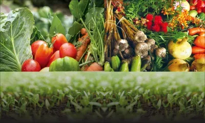 Agricultural production: Bio Farming: A means to self-sufficiency