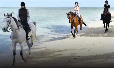 Centre Equestre de Riambel: Live a memorable horse riding experience