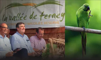 Release of Echo Parakeets in La Vallée de Ferney