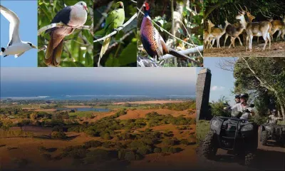 Frederica Nature Reserve: An abundance of Nature