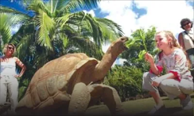 Ministry of Youth and Sports: Special Winter Holidays Programme 2016