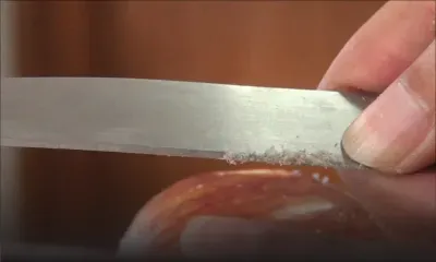 Démonstration: la pomme est-elle nocive ?