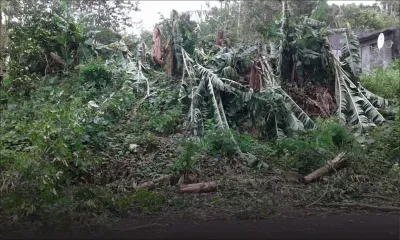 Rodrigues : la foudre cause d’importants dégâts matériels dans la région de La Ferme