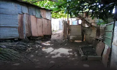 Training on social entrepreneurship to empower NGOs