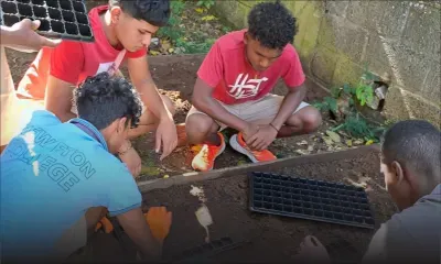 Extended Programme : une refonte nécessaire pour offrir une réelle seconde chance aux élèves 