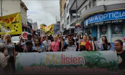 Maltraitance alléguée des animaux : la MSAW donne la réplique à ses «détracteurs»