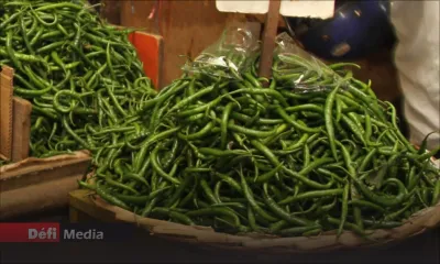 Des piments livrés à Rs 25 vendus à Rs 125 le demi-kilo sur le marché, selon la Small Planters Association