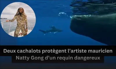 Deux cachalots protègent l’artiste mauricien Natty Gong d’un requin dangereux