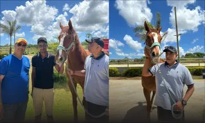 London Del, 23 ans : des retrouvailles pleines d’émotion au Centre Équestre de D'Eninay