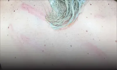 Du rêve au cauchemar : un écrivain français et son épouse disent vivre l’enfer à Chamarel