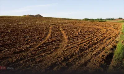 [Blog] Propozisyon LALIT dan kad Bidze 2024-25 e dan kad kanpayn elektoral 