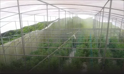 Post-Batsirai : « Les prochains jours seront cruciaux » souligne la chambre d’Agriculture