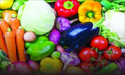 Irrigation : 60% des planteurs du Nord souffrent d'un manque d'eau