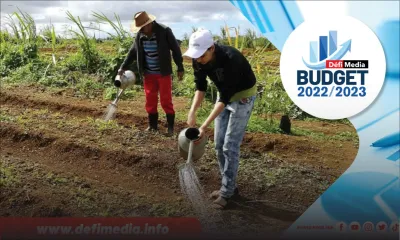 Budget 2022-23/ Agriculture : ‘Minimum Guaranteed Price’ pour les planteurs