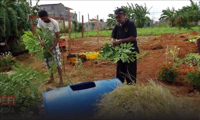 Location de terrains agricoles de l’État : les bénéficiaires tenus de suivre une formation sur des techniques de culture «smart»