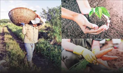 ‘Au Cœur de l’Info’ :  Agro-alimentaire – comment réagir face aux menaces et défis ?