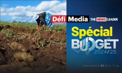 Budget 2024-25 - Agro-industrie : Une subvention de 50 % jusqu’à Rs 500 000 pour le Sheltered Farming