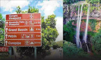 Alexandra Falls : alors qu'il cueillait des goyaves de Chine, un jeune homme fait une chute dans un ravin