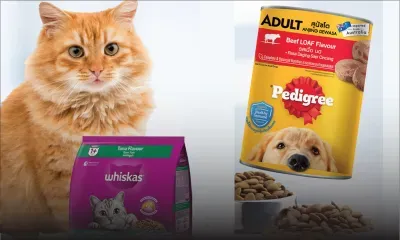Aliments pour animaux : les produits Pedigree et Whiskas coûtent plus cher
