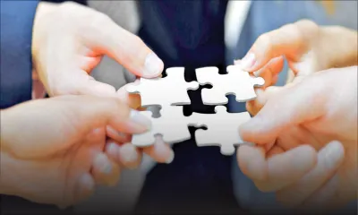 Young Professionals: Political parties: Should they make alliances?