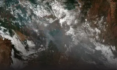 Feux en Amazonie, pluie grise et particules fines à Sao Paulo