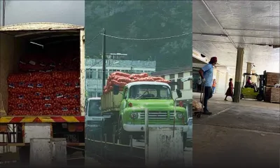 L’Agricultural Marketing Board prend en charge la distribution’ des condiments à travers le pays