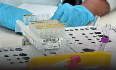 Le Central Health Laboratory de Candos sous le feu des critiques 