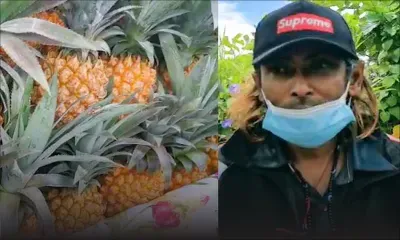 À Salazie : Hancharaj Mohun vend des ananas aux abords de la route  