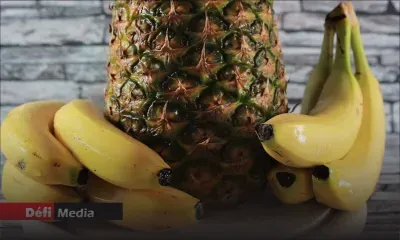 Fruits locaux : 17 000 tonnes de bananes et d’ananas produites en un an