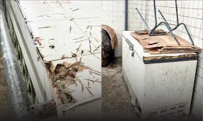  L’ancien marché de Plaine-Verte : attention danger!