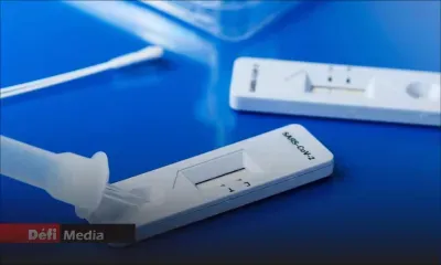  Covid-19 : Interpol et la police mauricienne enquêtent sur une affaire de médicaments de contrebande