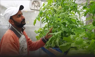Hansraj Seechurn : endorsing aquaponics for a healthy living  