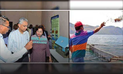 Entrepreneurship: Aquaculture The next big thing