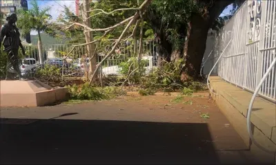 Dans l’enceinte de la Cour commerciale : des vents violents provoquent la chute d’une branche