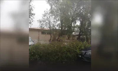 Chute d'un arbre dans la cour de l'hôpital Candos : « On a eu la peur de notre vie », dit Cynthia