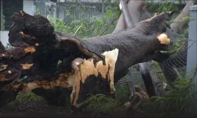 Alerte IV: les sapeurs-pompiers et la SMF à pied-d’œuvre ; une cinquantaine d’interventions effectuées