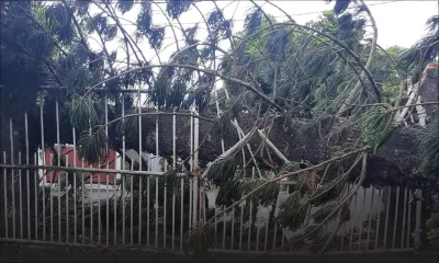 Maurice en alerte cyclonique 3 : les précautions à prendre 