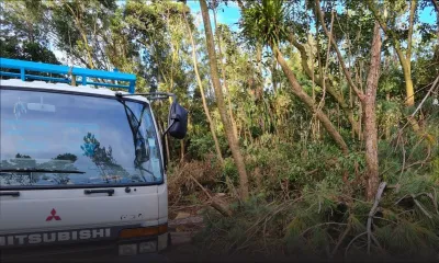Abattage illégal et vol de bois : Fin de cavale pour trois individus