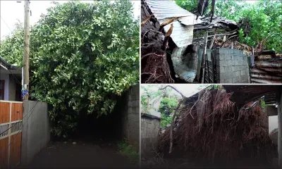 Roche-Bois : un « pie lafours » s’abat sur trois maisons 