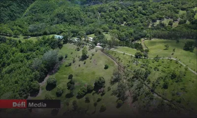 Lutter contre le réchauffement climatique : 3 600 arbres plantés d’ici à fin 2021 et plus de 12 000 en 2022, annonce Husnoo 