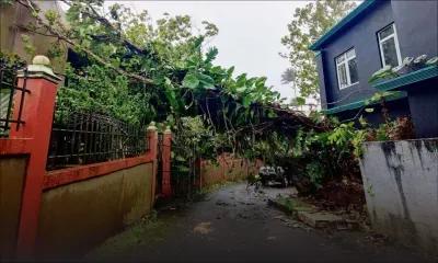 Curepipe : chute d’un arbre sur une maison, des dégâts constatés