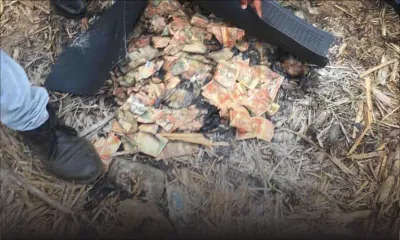 Coupures de billet de banque retrouvées brulées à Daruty : les empreintes et les numéros de série décryptés pour trouver le ou les coupables 