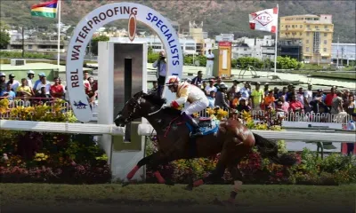 Hippisme - Ziltaperol : la GRA ouvre une enquête indépendante