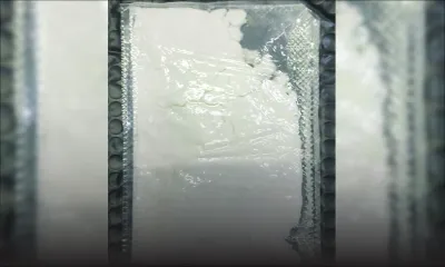 Drogue en provenance de Paris : une valeur de Rs 786 000  de cocaïne saisie à la poste