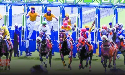 Bilan financier - ASL : des revenus supérieurs pour le football sont attendus