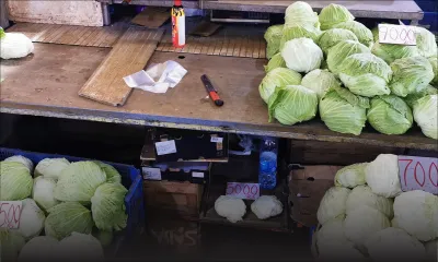 De la vente à l’encan aux étals du marché : les légumes revendus jusqu’à trois fois plus cher