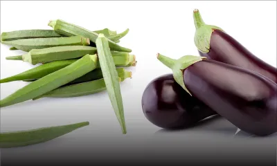 Grand-Baie : un maçon arrêté pour vol d’aubergines et de ‘lalos’