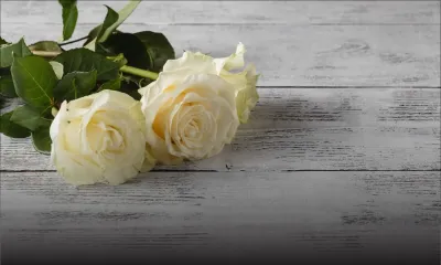 [Avis de décès] Vendredi 6 août 2021