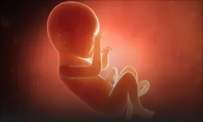 Avortement : l'Inde va autoriser l'IVG jusqu'à 24 semaines